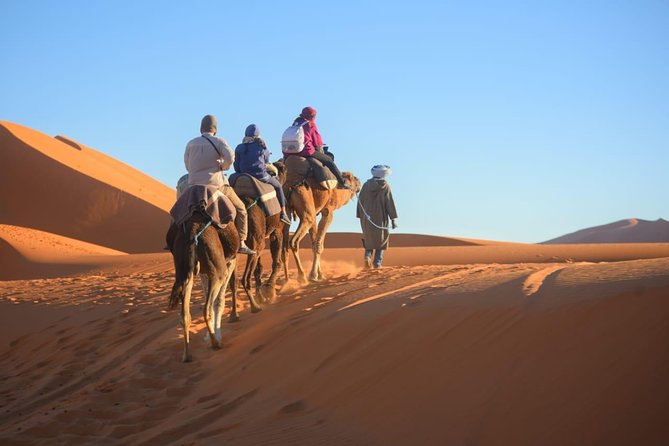 3-Day Luxury/Budget Desert Tour to Marrakech via Merouga from Fez - From Fez to the cedar forests of Azrou