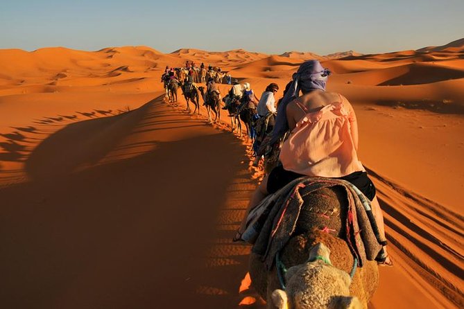 3-Day Luxury Desert Tour from Marrakech to Merzouga Desert - What this Marrakech to Merzouga trip is really like