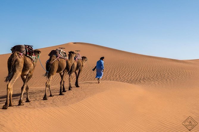 3 Day Luxury Tour: Sahara desert & luxury camp from Marrakech - Dinner, music, and a cold desert night