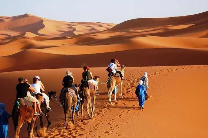 3-Day Marrakech to Fes Sahara Desert Tour via Merzouga - Standard, deluxe, and premium camp choices