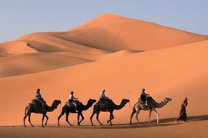 3-Day Marrakech to Merzouga Desert Tour: Camel Rides & Overnights - Day three: Sunrise, rose country, and the long road back