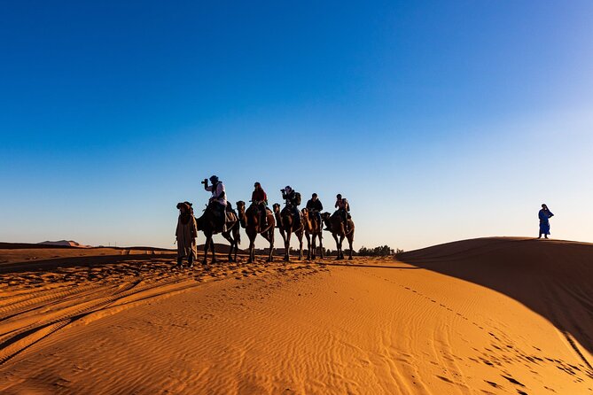 3-Day Marrakech to Merzouga Desert Tour: Camel Rides & Overnights - Who should choose this Marrakech to Merzouga tour?