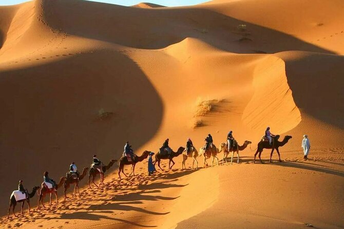 3-Day Sahara Adventure: Marrakech to Fez via Merzouga - Day two: a short walk in Todra Gorge
