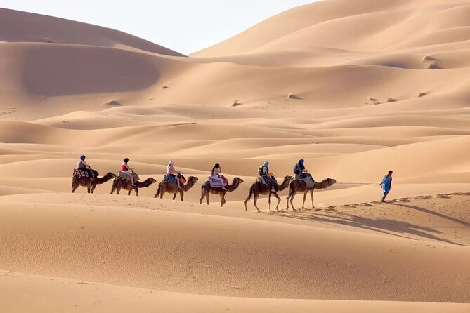 3-Day Sahara Adventure: Marrakech to Fez via Merzouga - Rose Valley and the road of a thousand kasbahs