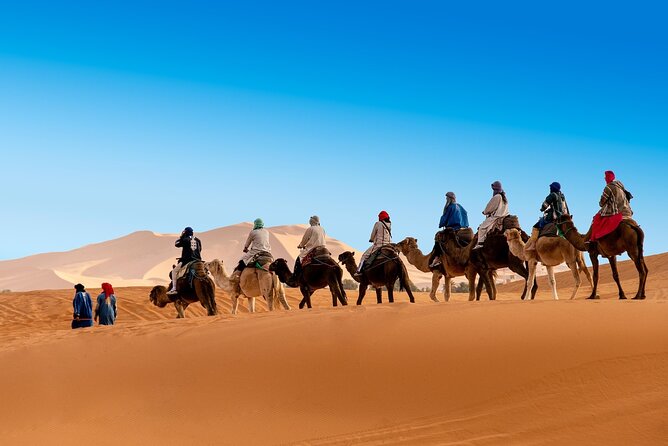 3 Day Tour from Marrakech to Merzouga with Camel Ride Included - Sunrise by camel and breakfast at the camp