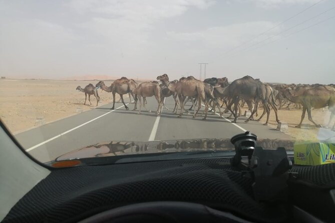 3 Days Desert Tour Fes to Marrakech with 2 Nights in Merzouga - What the $200 price really covers