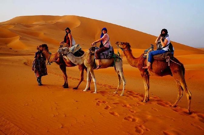 3 Days Desert Tour Fes to Marrakech with 2 Nights in Merzouga - The schedule is efficient, not relaxed
