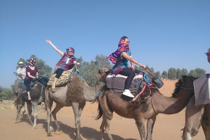 3 Days Desert tour from Fez to Marrakesh via Merzouga Erg chebbi - What the $174.47 price really covers