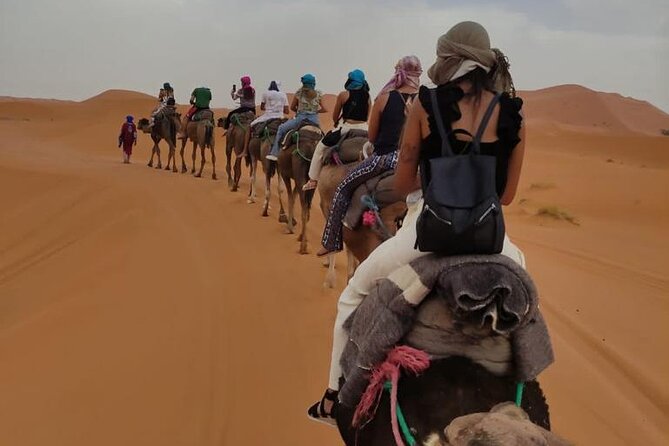 3 Days Desert Tour From Marrakech To Merzouga Dunes & Camel Trek - Todra Gorge and the road toward Merzouga