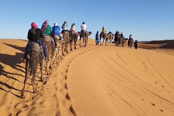 3 Days Desert Tour From Marrakech To Merzouga Dunes & Camel Trek - Berber camp dinner, drums, and the short desert night
