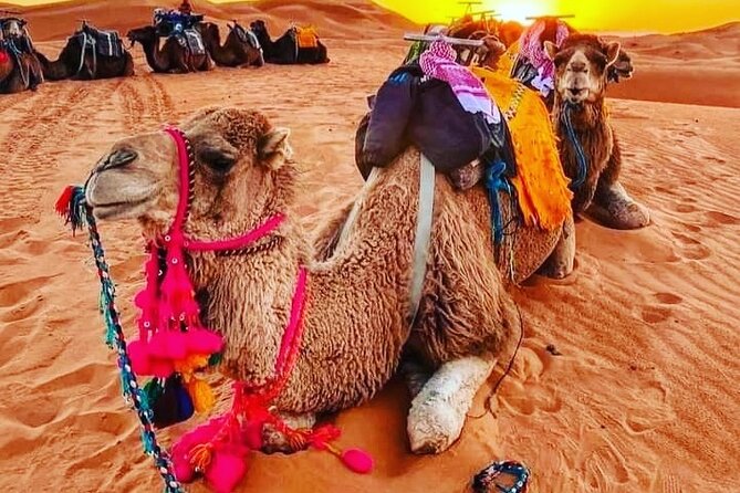 3 Days Group Tour from Marrakech to Merzouga Desert - Key points to know before booking