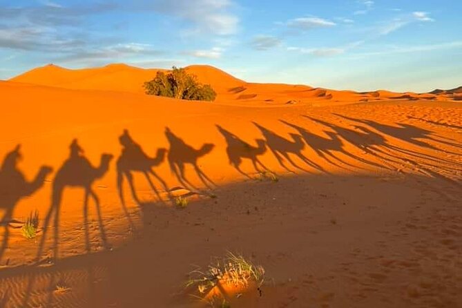 3 Days Group Tour from Marrakech to Merzouga Desert - 7:30 departure from Marrakech