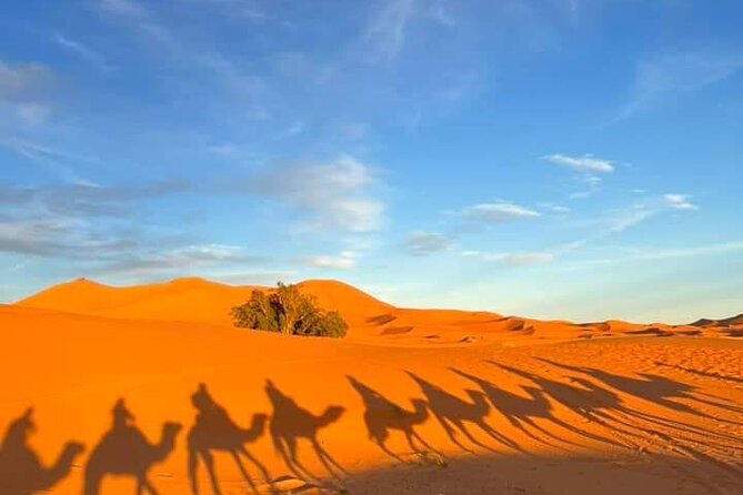 3 Days Group Tour from Marrakech to Merzouga Desert - Ait Ben Haddou and Ouarzazate