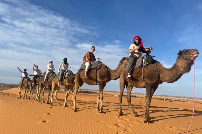 3 Days Luxury Desert Tour From Fes To Marrakech via Merzouga - From Fes to the cedar forests of Azrou