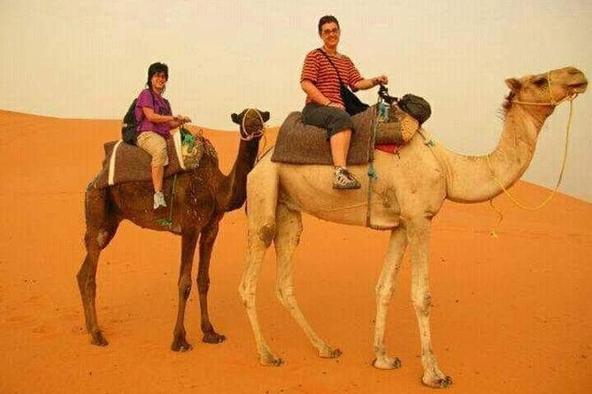 3 Days Luxury Desert Tour From Fes To Marrakech via Merzouga - Rissani, Erfoud, and the Todra Gorges