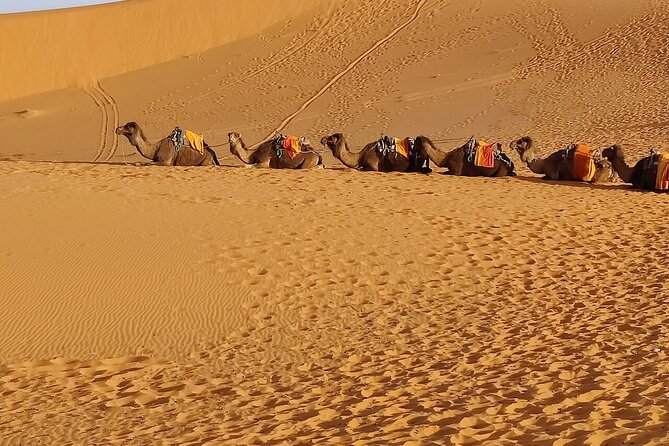 3 Days Luxury Desert Tour From Fes To Marrakech via Merzouga - A night near the Dades Valley