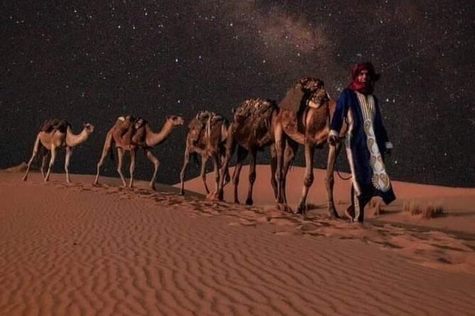 3 Days Luxury Desert Tour From Fes To Marrakech via Merzouga - Transport, guides, and the pace of the trip