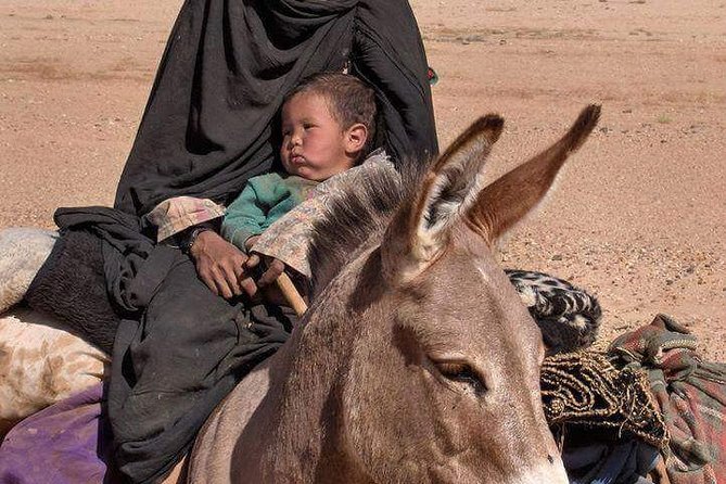 3 Days Marrakech To Fes Desert Tour Via Merzouga - Accommodation, meals, and comfort on the road