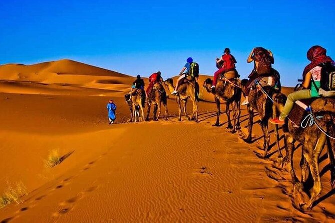 3 Days Merzouga Desert Shared Trip - Key points before you book
