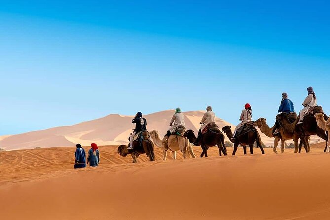 3 Days Merzouga Sahara Tour & Camel Trek - Day 3: Merzouga to Marrakech in one huge push