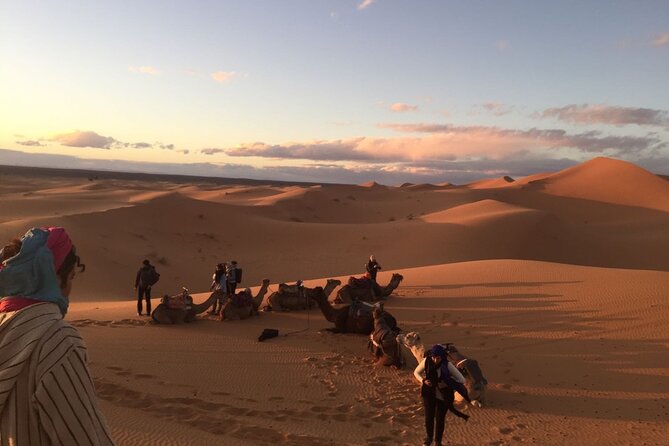 3 Days Morocco Desert Marzouga Tour from Marrakech To Fès - Ait-Ben-Haddou and the old caravan roads