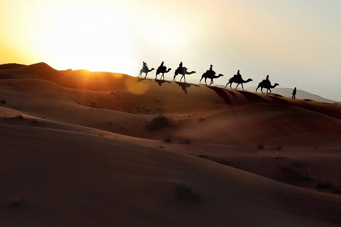 3-Days Morocco Desert Tour from Marrakech to Marzouga - The real shape of this three-day desert trip