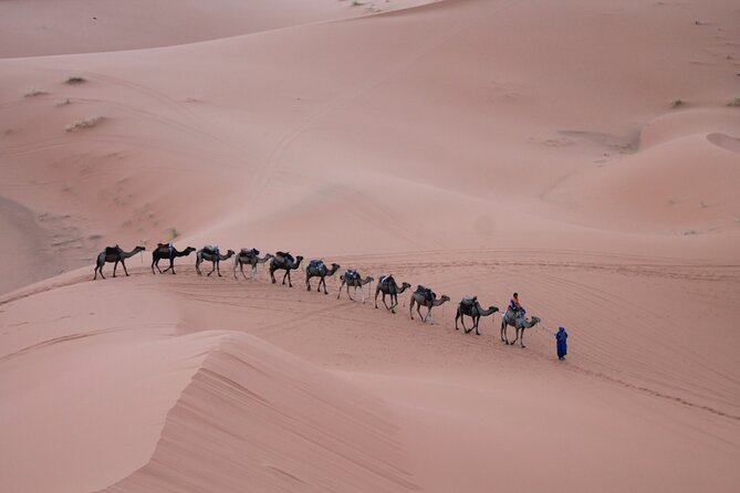 3-Days Morocco Desert Tour from Marrakech to Marzouga - What the price really buys you