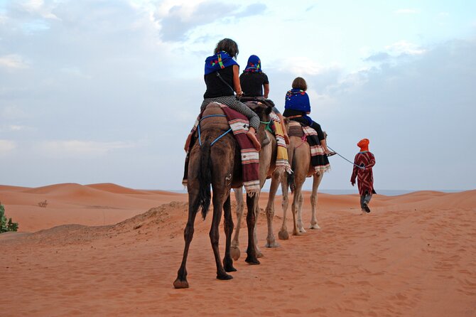 3 Days Private Tour to Merzouga Desert from Marrakech - Day two: Todra Gorges and the long road to Erg Chebbi