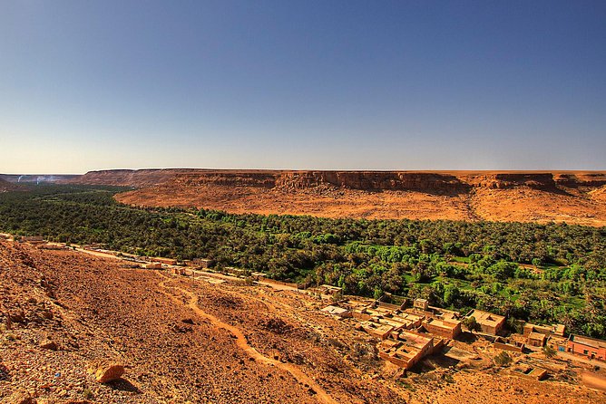 3-Days Sahara Desert Tour from Fez to Marrakech - Day one: Ifrane, cedar forests, and the Ziz Valley