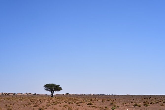 3 Days Sahara Desert Tour from Marrakech to Fes - The Erg Chebbi camel ride and desert camp