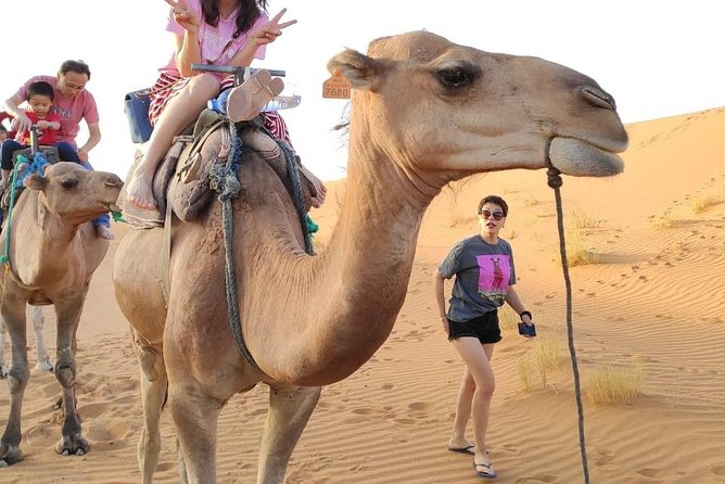 3 Days Sahara tour from Marrakesh - What this Marrakech to Fes desert tour is really like