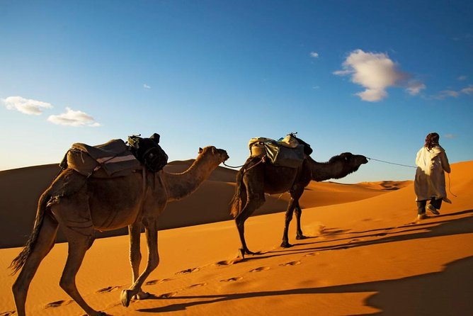 3-days shared Merzouga desert tour from Marrakech - Day 3: Sunrise in the dunes and the long road back