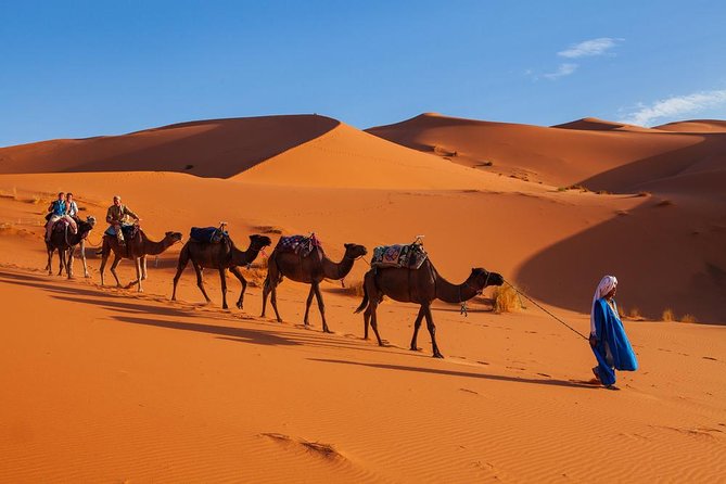3-days shared Merzouga desert tour from Marrakech - Pickup care and the cancellation rule