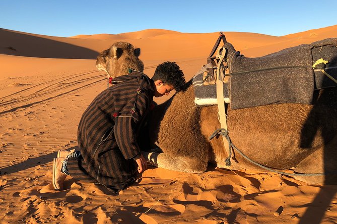 3 Days Shared Sahara Desert Tour From Marrakech - Group size and the role of the guide