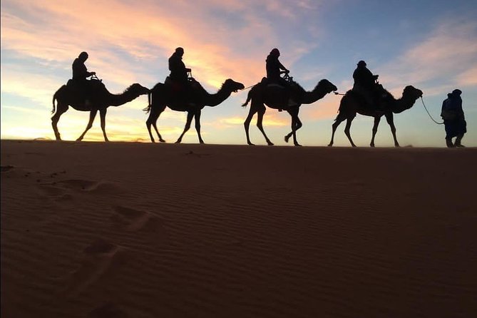 3 Days Shared Sahara Desert Tour From Marrakech - Day 2: Gorges, fossils, and the ride into Erg Chebbi