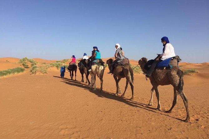 3 days tour from Fes to Marrakech - Day one: Fes, Ifrane, and the Cedar Forest
