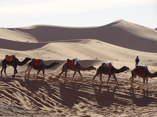 3 days tour from Marrakech to Merzouga - FAQ
