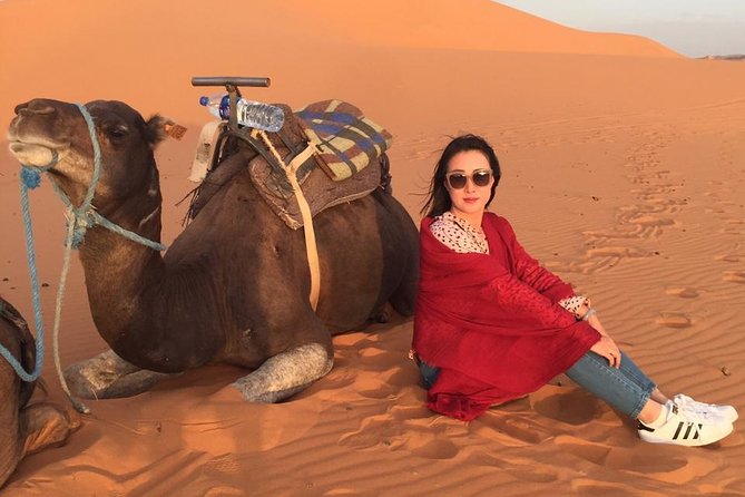 3 Days Tour luxury Experience in the great Sahara in Merzouga. - The Erg Chebbi camel ride is the payoff