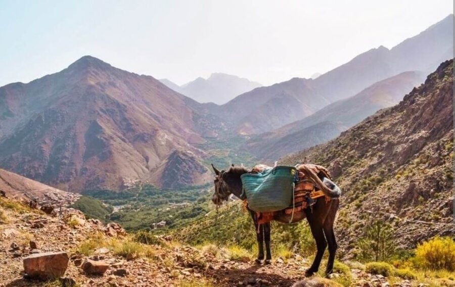 3 Days Trek Atlas Mountains Berber Villages from Marrakech - Safety, comfort, and solo women