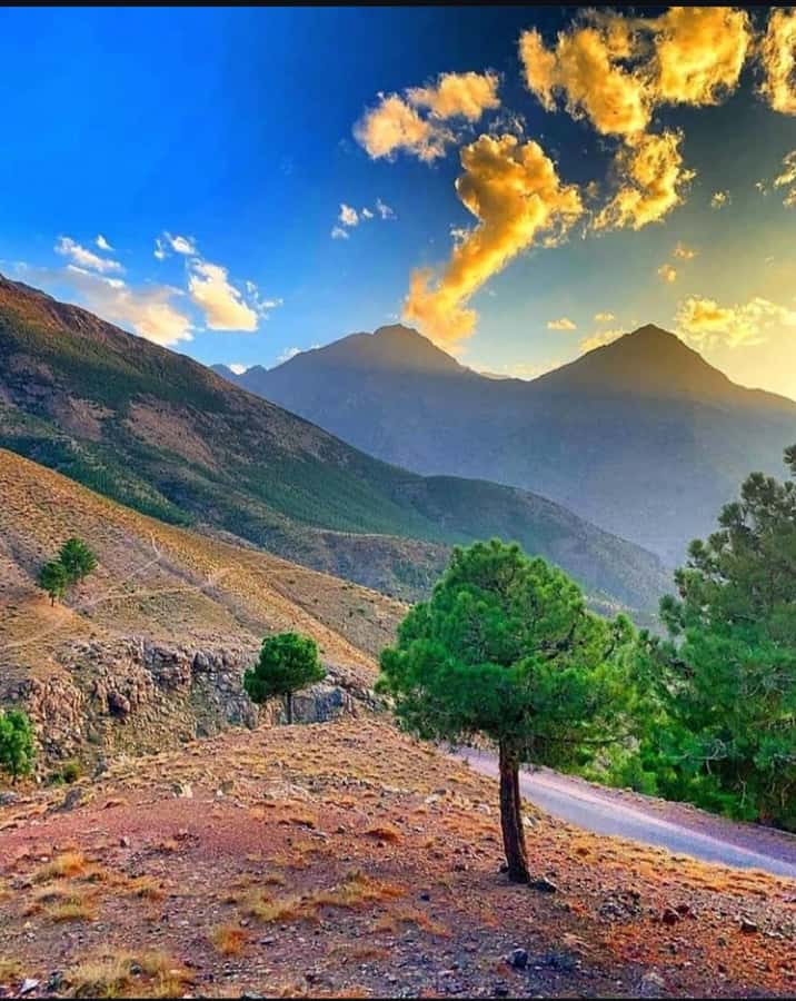 3 Days Trek Atlas Mountains Berber Villages from Marrakech - Who should book this three-day trek