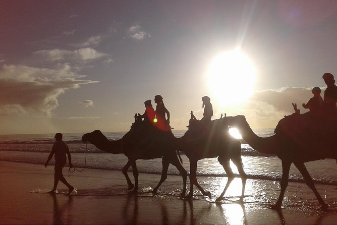 3-hour camel ride at sunset - A gentle sunset ride outside Essaouira