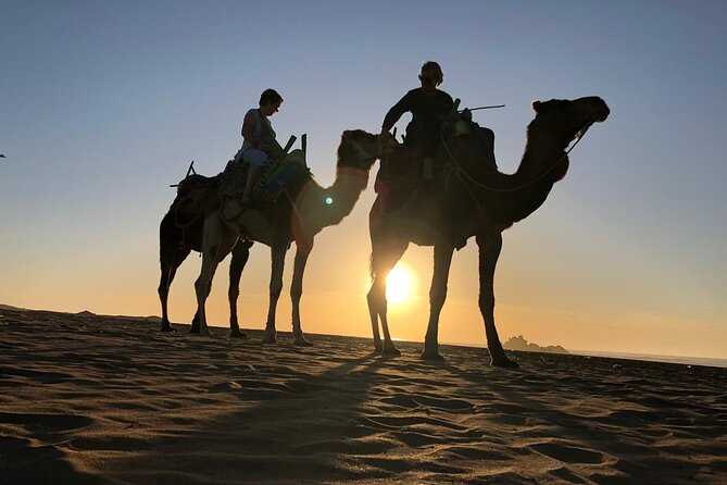 3-hour camel ride at sunset - The route toward Diabat and Dar Sultan
