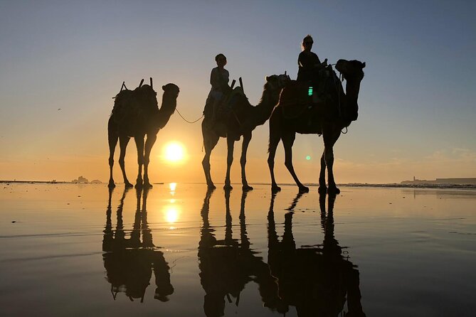 3-hour camel ride at sunset - Tea, biscuits, and the Jimi Hendrix connection