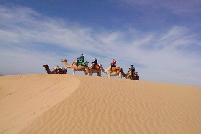 3 hours Camel Ride in Essaouira, beach and dunes - Key points to know before you book