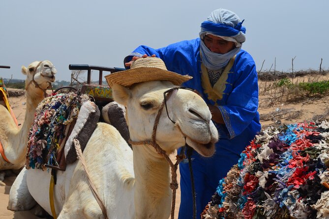 3 hours Camel Ride in Essaouira, beach and dunes - Why Essaouira is a fine place for a camel ride