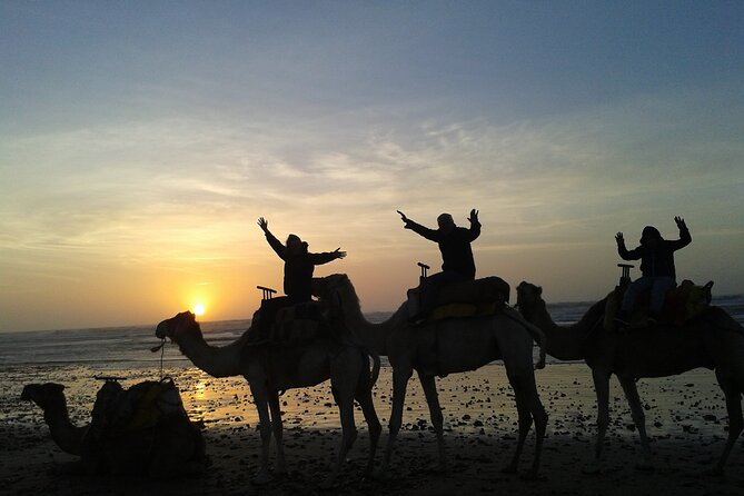 3 hours Camel Ride in Essaouira, beach and dunes - What the dunes add to the experience