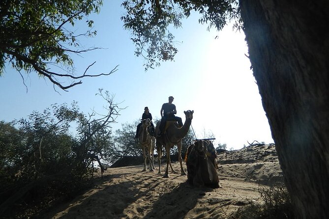 3 hours Camel Ride in Essaouira, beach and dunes - What is included for $75.60