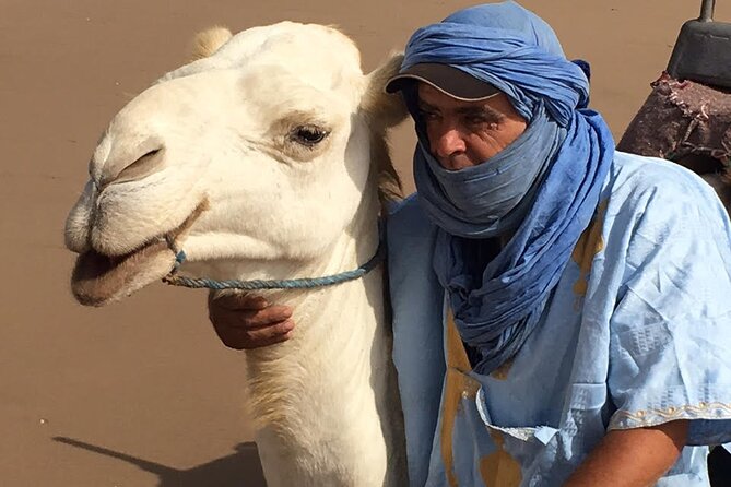 3 hours Camel Ride in Essaouira, beach and dunes - Pickup, meeting point, and timing