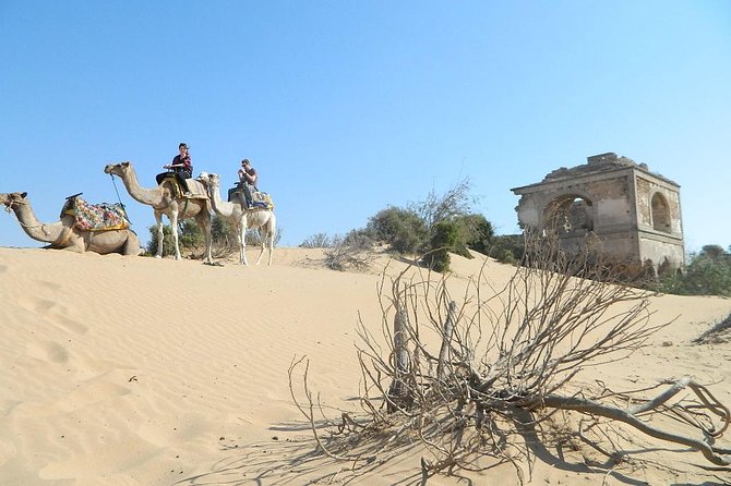 3 hours Camel Ride in Essaouira, beach and dunes - Riding from the palace ruins toward Essaouira Beach