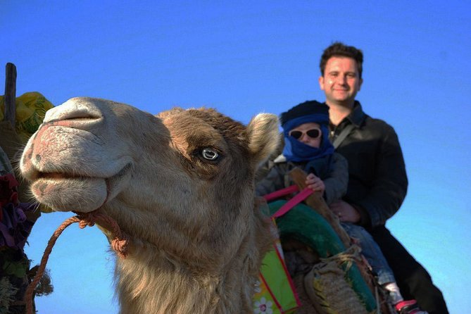 3 hours ride on camel at sunset - Eucalyptus woods, tea, and homemade food